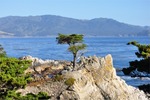 CA Coast 047