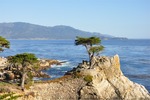 CA Coast 048