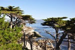CA Coast 049