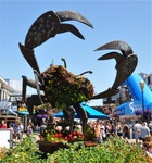 CA Coast 057