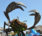 CA Coast 071