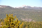 Gold Country 004