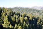 Gold Country 005