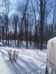 White-Blanket-2018.jpg