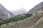Yosemite 05