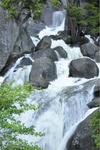 Yosemite 25