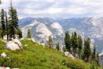 Yosemite 40