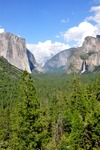 Yosemite 75