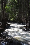 Yosemite 80