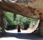 General Sherman 06