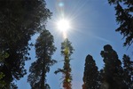 General Sherman 10