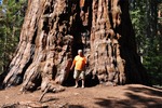 General Sherman 13