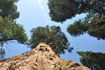 General Sherman 17