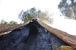 General Sherman 23