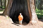 General Sherman 24