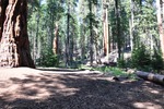 General Sherman 27
