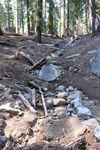 General Sherman 30