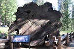 General Sherman 42