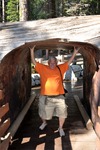 General Sherman 43