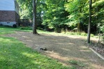 Dirt Devils 02
