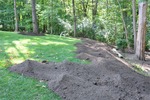 Dirt Devils 16