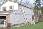 Fresh Coat 57