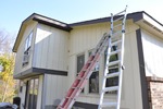 Fresh Coat 62