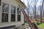 Fresh Coat 63