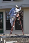 Fresh Coat 82