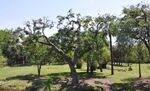 Spring Break 1 024