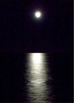 Cruise 021