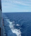 Cruise 056