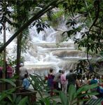 Cruise 091