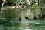 Cave Training 04