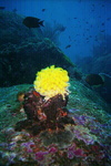 Thailand 10