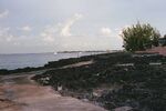 Grand Cayman 11
