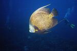 Grand Cayman 23
