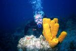 Grand Cayman 28