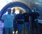 Dive Crew