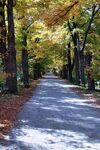 Yellow Springs 02