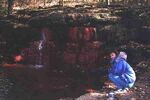 Yellow Springs 04