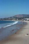 CA Turkeys 14