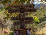 Which Way?