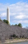 Capital Adventure 004