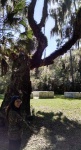Tree Lover