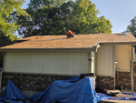 New Roof 03