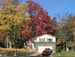 Fall Beauty
