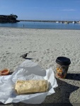 Beach Burrito