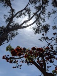 Good Contrast