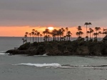 Palm Set